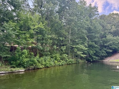 Lake Lot For Sale in Wedowee, Alabama