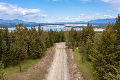 Lake Koocanusa Acreage For Sale in Other, See Remarks Montana