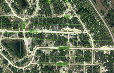 Lake Grassy Lot For Sale in Lake Placid Florida