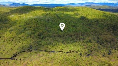 Lake Acreage For Sale in Albany Twp, Maine