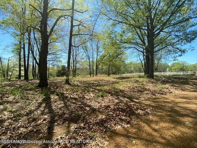 Beautiful land in the Lewisburg school district!! Lots of - photo 2