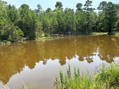 (private lake, pond, creek) Acreage For Sale in Waldron Arkansas