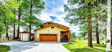 Lake Pagosa Home For Sale in Pagosa Springs Colorado