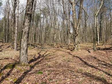10.4 wooded acres on Walker Road in Nineveh, located on a quiet - photo 11