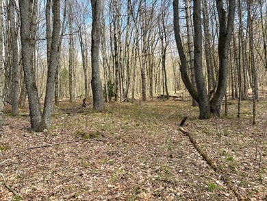 10.4 wooded acres on Walker Road in Nineveh, located on a quiet - photo 12