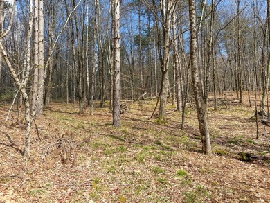 10.4 wooded acres on Walker Road in Nineveh, located on a quiet - photo 13