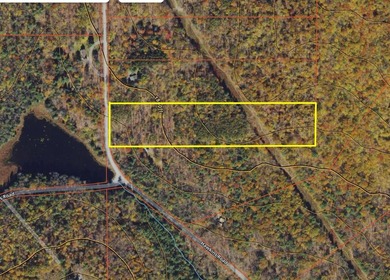 10.4 wooded acres on Walker Road in Nineveh, located on a quiet - photo 14