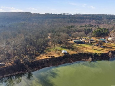 Located on the banks of the Arkansas River in Houston, Arkansas - photo 28