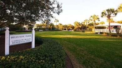 Experience coastal luxury in the exclusive, gated Carillon Beach - photo 28