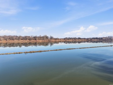 Located on the banks of the Arkansas River in Houston, Arkansas - photo 30