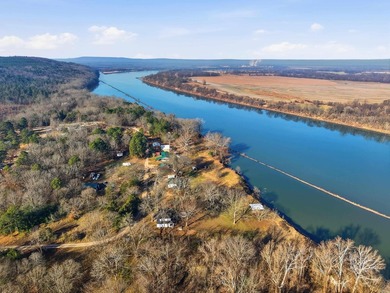 Located on the banks of the Arkansas River in Houston, Arkansas - photo 31