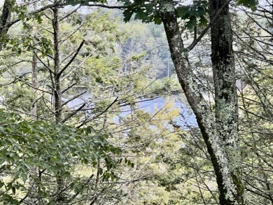 Lake Condo For Sale in Torrington, Connecticut