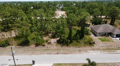 Lehigh Acres Area Lot For Sale in Lehigh Acres Florida