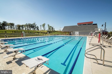 Your New Home Starts Here. The Lachlan at Potomac Shores offers - photo 43