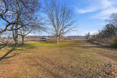 Located on the banks of the Arkansas River in Houston, Arkansas - photo 46