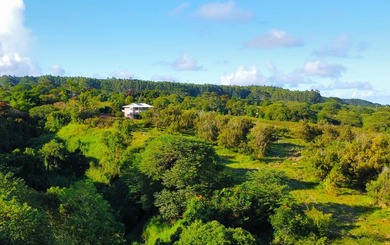 2525 Maikalani Street is an ideal site for a tropical estate - photo 1