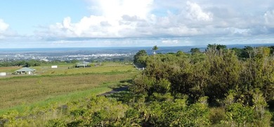 2525 Maikalani Street is an ideal site for a tropical estate - photo 2