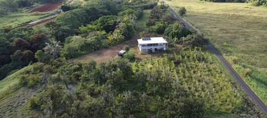 2525 Maikalani Street is an ideal site for a tropical estate - photo 3