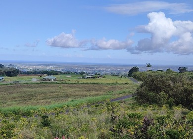 2525 Maikalani Street is an ideal site for a tropical estate - photo 4