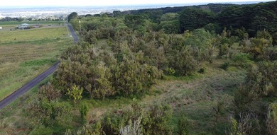 2525 Maikalani Street is an ideal site for a tropical estate - photo 6