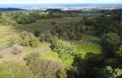 2525 Maikalani Street is an ideal site for a tropical estate - photo 7
