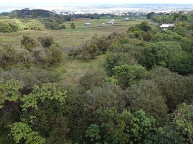 2525 Maikalani Street is an ideal site for a tropical estate - photo 8