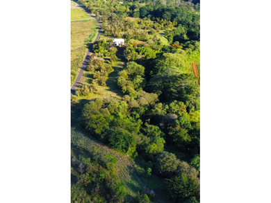 2525 Maikalani Street is an ideal site for a tropical estate - photo 9