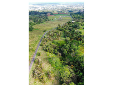 2525 Maikalani Street is an ideal site for a tropical estate - photo 10