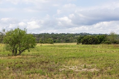 Single-family lot with amazing golf course and Hill Country - photo 10
