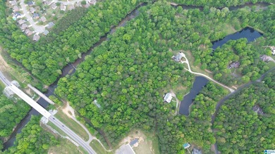 (private lake, pond, creek) Acreage For Sale in Helena Alabama