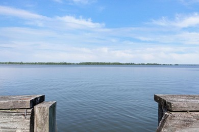 LAKE MARION - RARE FIND - This 1.88 +/- acre deeded lot located - photo 34