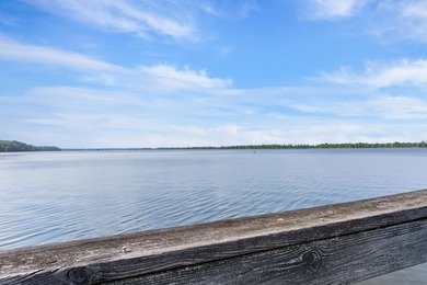 LAKE MARION - RARE FIND - This 1.88 +/- acre deeded lot located - photo 35