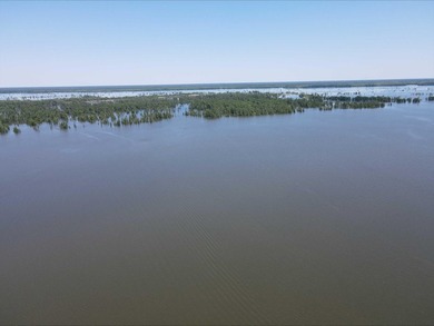 LAKE MARION - RARE FIND - This 1.88 +/- acre deeded lot located - photo 39