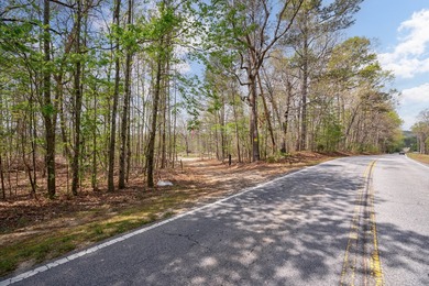 The Yellow River Tract presents a rare opportunity to acquire - photo 2