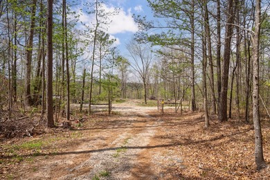 The Yellow River Tract presents a rare opportunity to acquire - photo 3