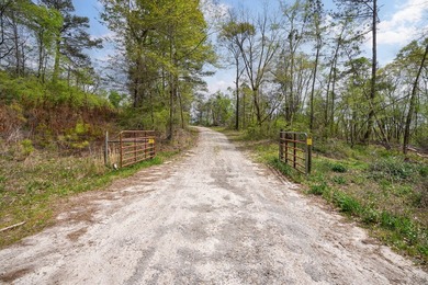 The Yellow River Tract presents a rare opportunity to acquire - photo 4