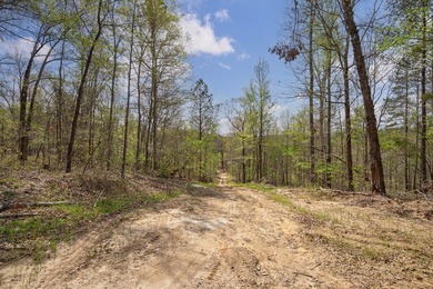The Yellow River Tract presents a rare opportunity to acquire - photo 5