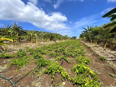 2-Acre Agricultural Lot in Mokule'ia - Fertile Land with Crops - photo 6