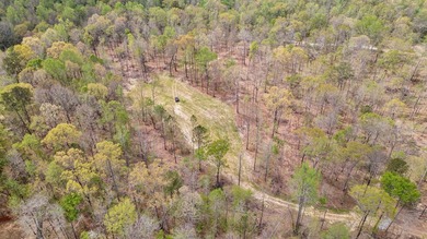 The Yellow River Tract presents a rare opportunity to acquire - photo 6