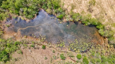 The Yellow River Tract presents a rare opportunity to acquire - photo 7