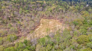 The Yellow River Tract presents a rare opportunity to acquire - photo 10