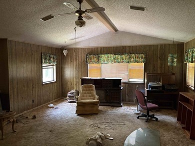 Ranch style home with gorgeous setting, but needs work! Over 26 - photo 4