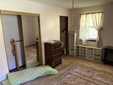 Ranch style home with gorgeous setting, but needs work! Over 26 - photo 6