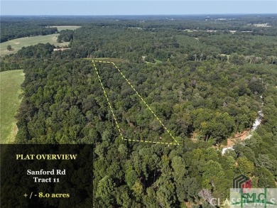 Lake Acreage For Sale in Nicholson, Georgia