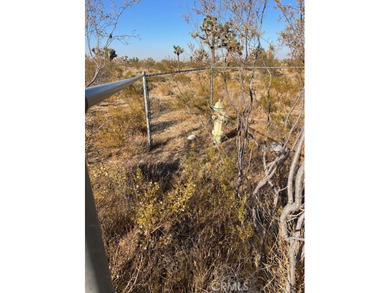 (private lake, pond, creek) Acreage For Sale in Phelan California