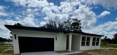 Lake Home For Sale in Leesburg, Florida