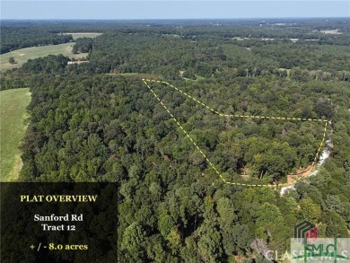 Lake Acreage For Sale in Nicholson, Georgia
