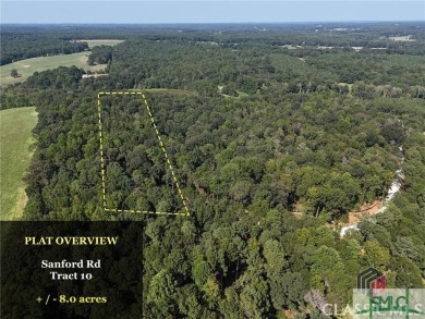 Lake Acreage For Sale in Nicholson, Georgia