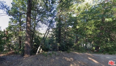 Lake Lot For Sale in Cedar Glen, California