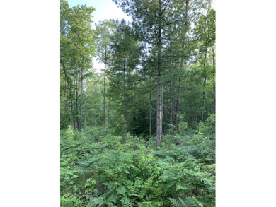 Heart Lake Acreage For Sale in Gaylord Michigan